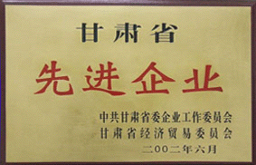 先進企業(yè)
